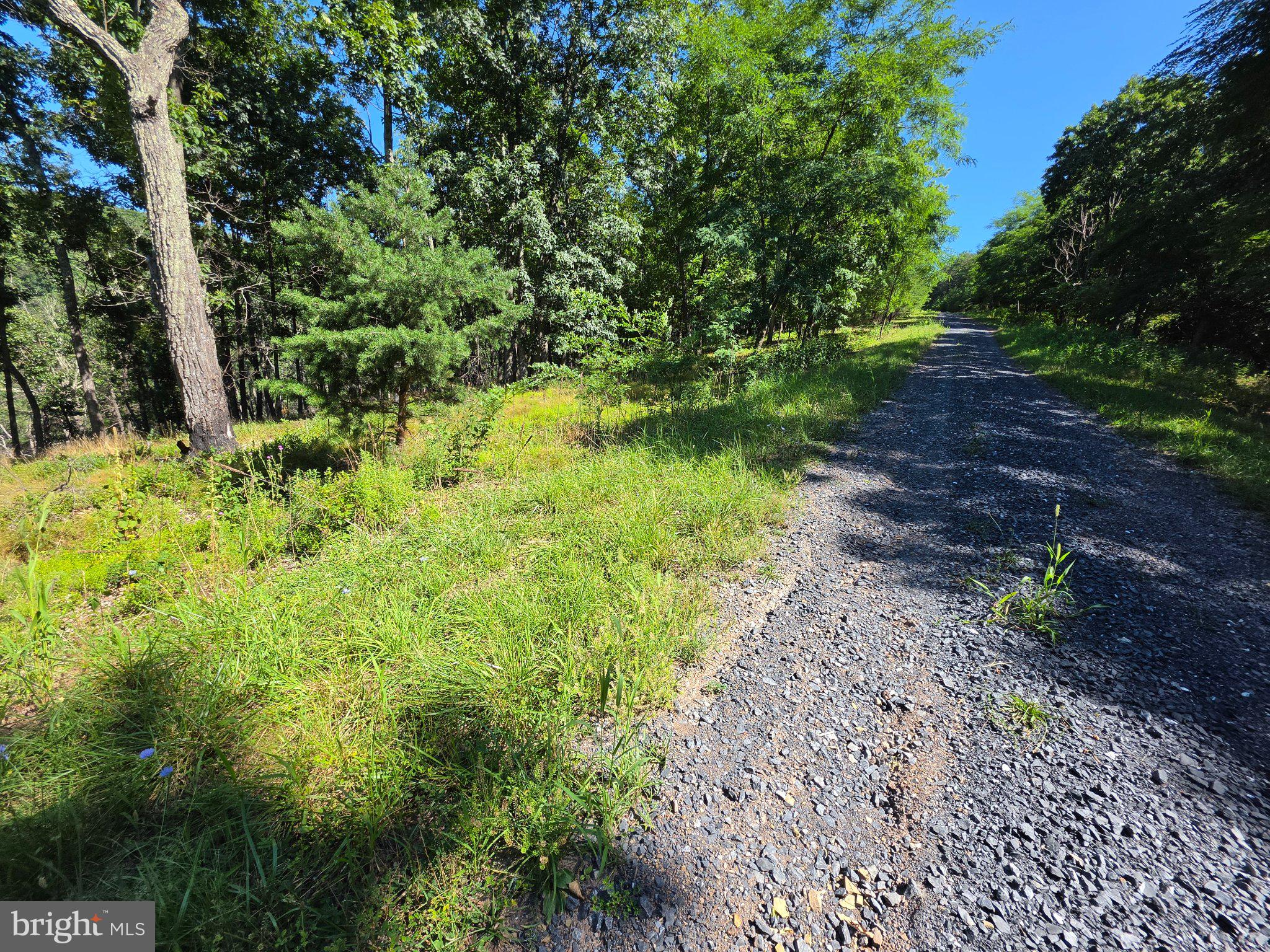 Lot 75 Hunters Rdg Trail Milam, WV 26838 - Photo 22 of 49 Gallery Image 22