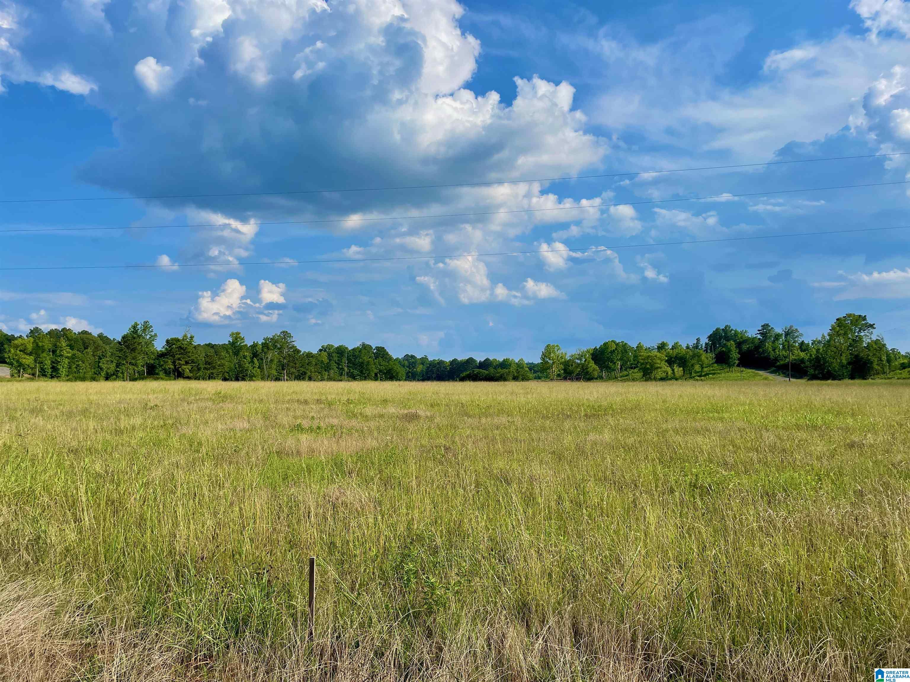 0 Burton Road, Unit 16 Shelby, AL 35143 - Photo 5 of 16