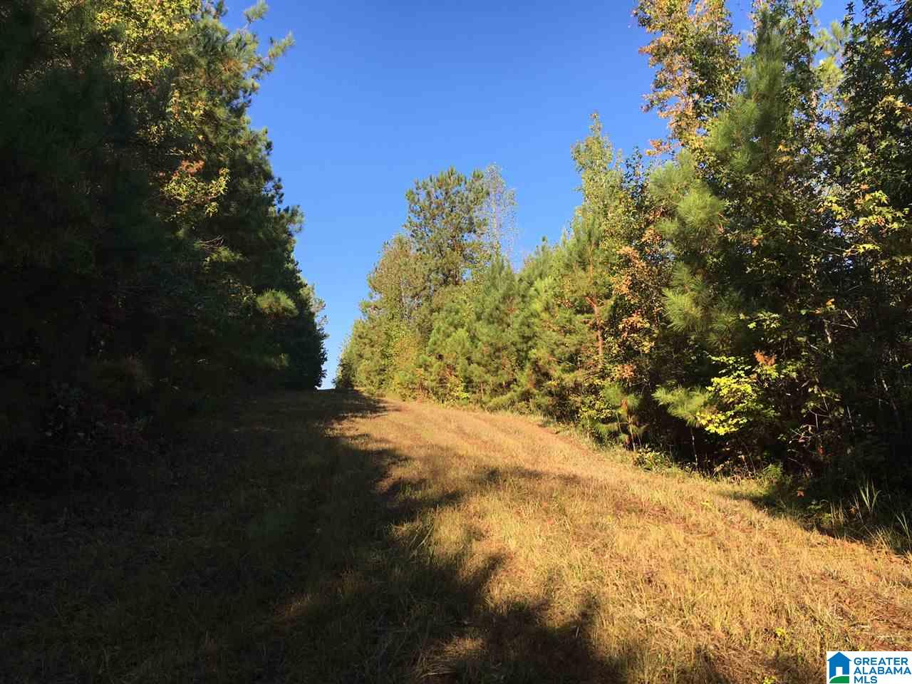 220 Gant Road, Unit 106 AC Pell City, AL 35128 - Photo 18 of 23