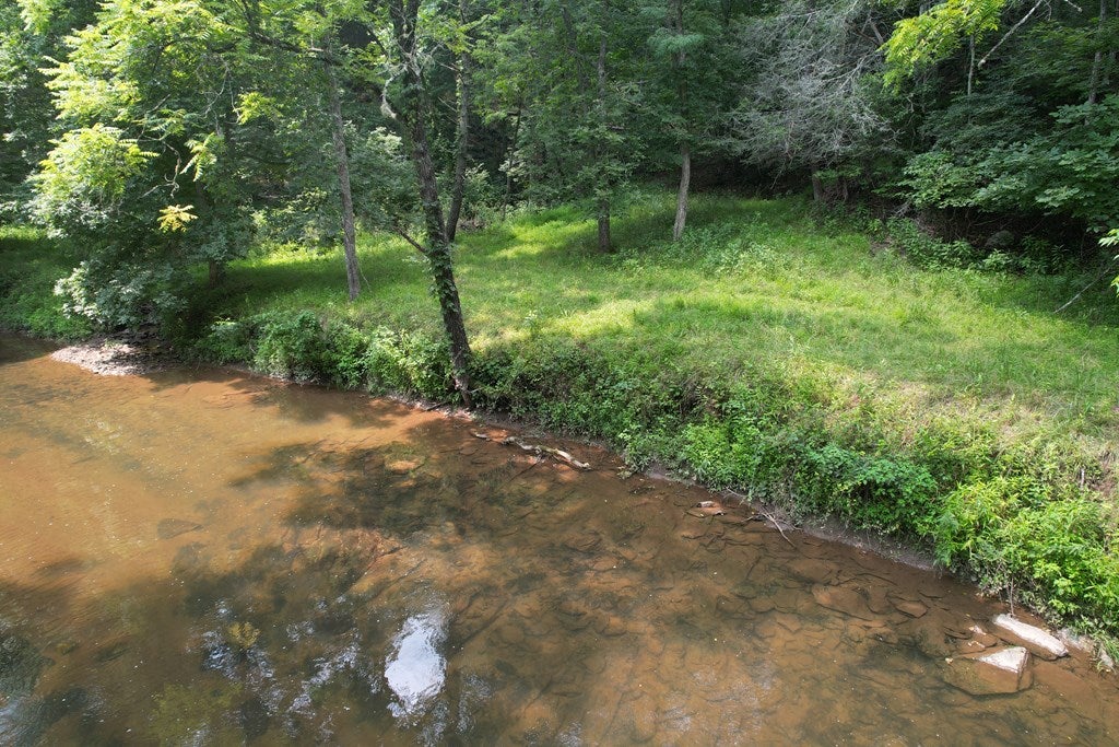 Tbd Hall Hollow Road Austinville, VA 24312 - Photo 4 of 59 Gallery Image 4