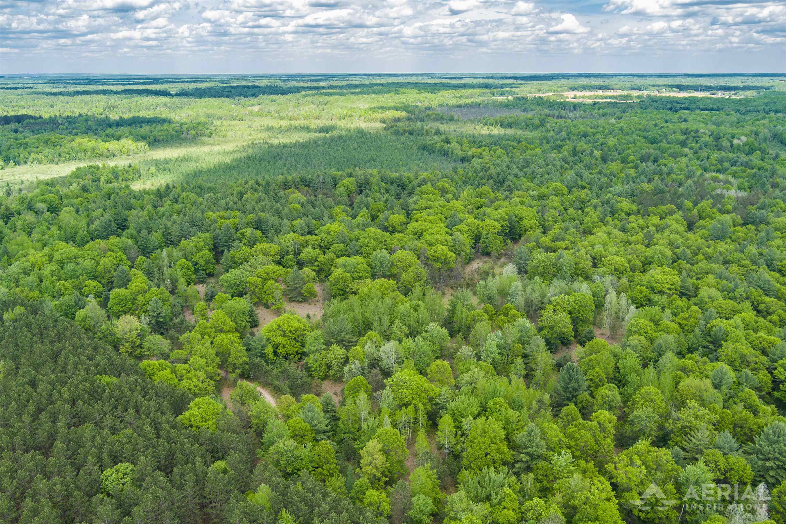 0 East Sugar River Road Alger, MI 48610 - Photo 3 of 12 Gallery Image 3