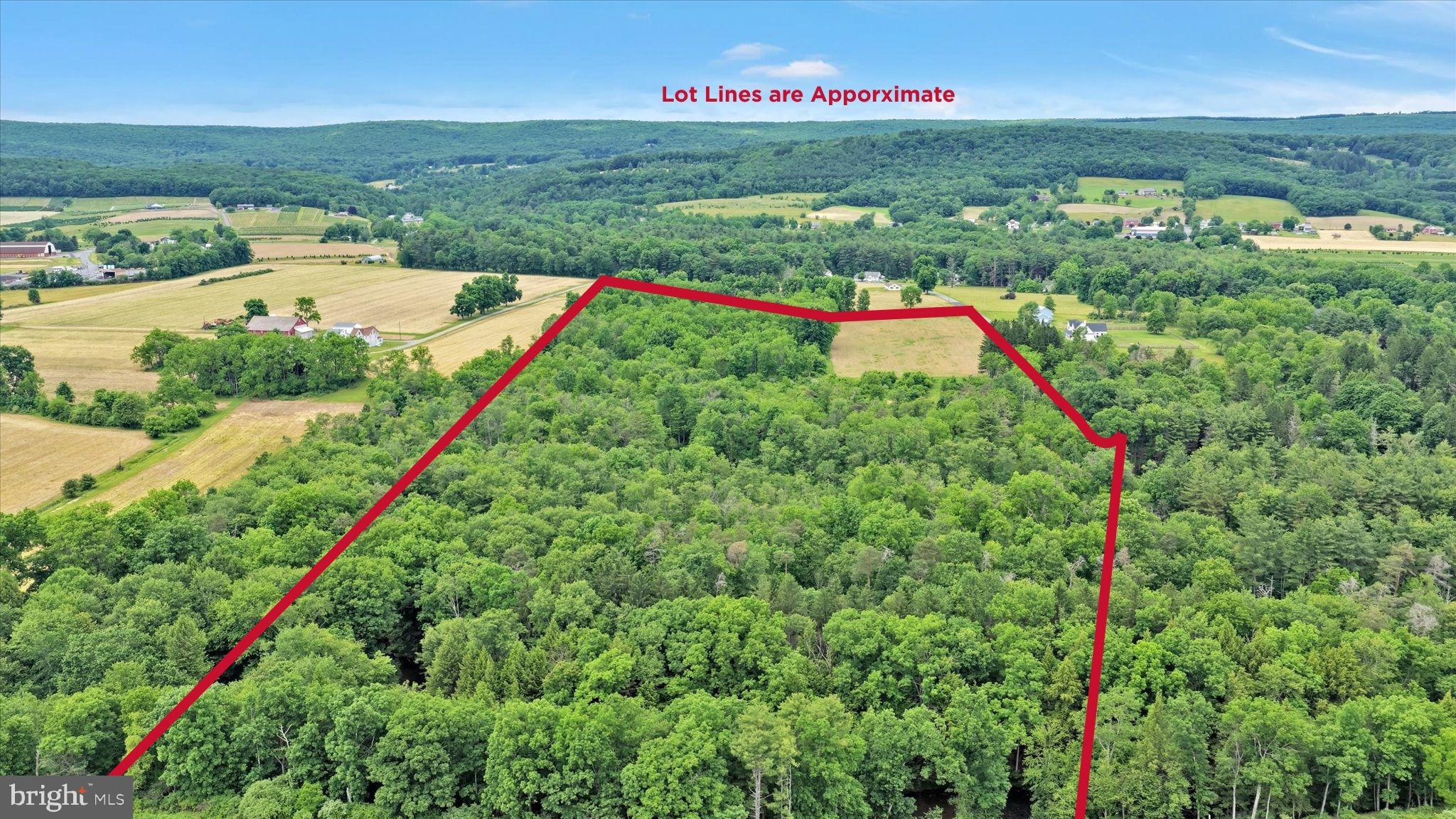 0 Fredericks Grove Road Lehighton, PA 18235 - Photo 7 of 16 Expansive wooded lot with scenic views.