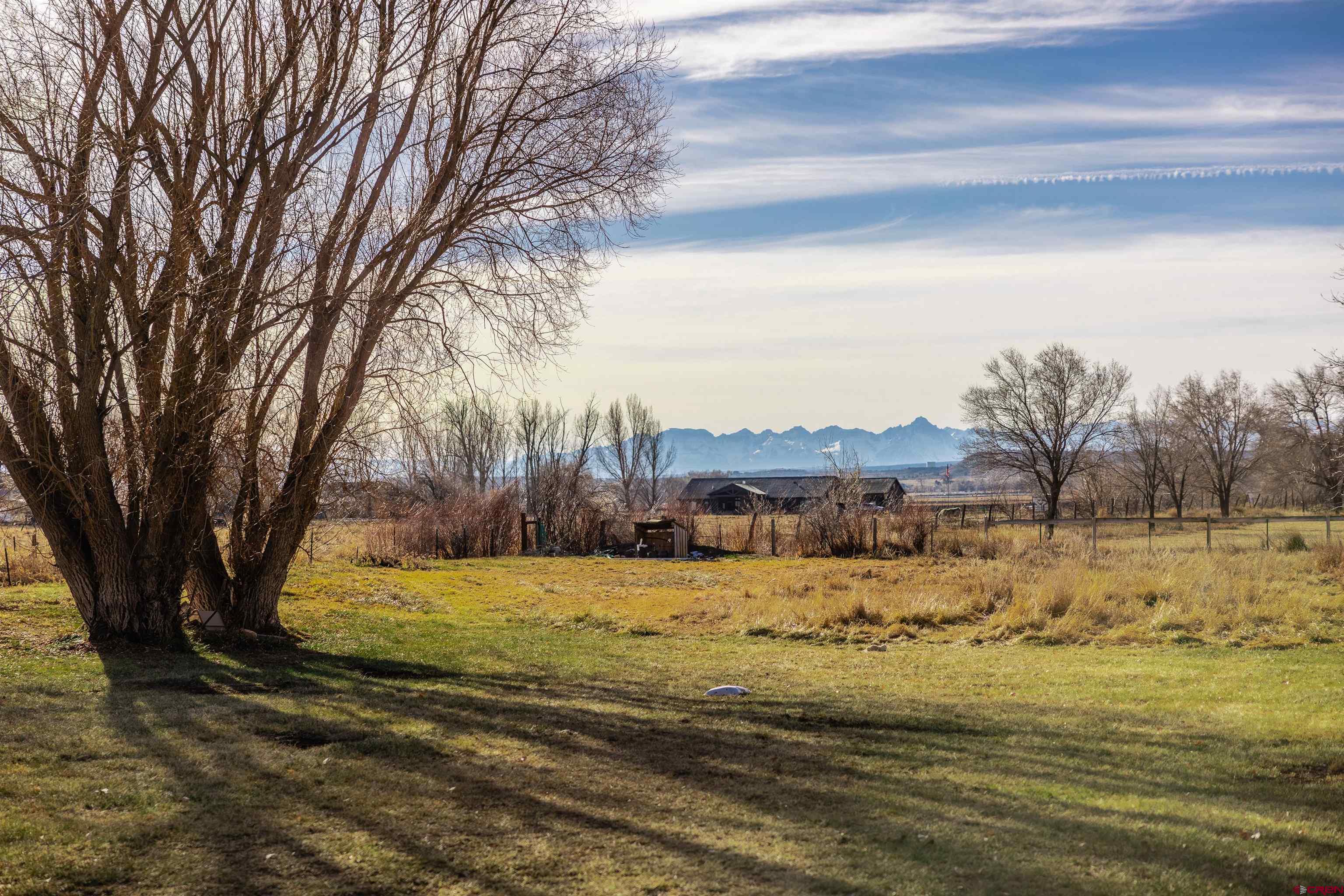 15214 6125th Road Montrose, CO 81403 - Photo 35 of 45 a view of yard with trees