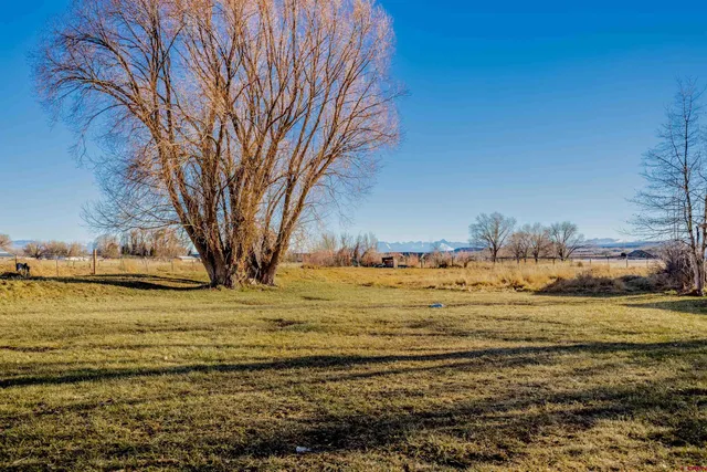 a view of a yard in front of a house