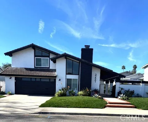 a room with a potted plant