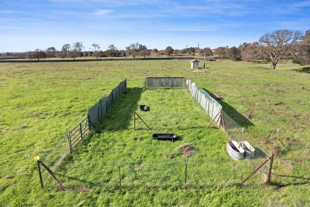 a view of an ocean from in a yard