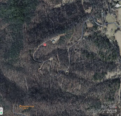 a plant that is in a field