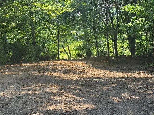 a view of a yard with trees