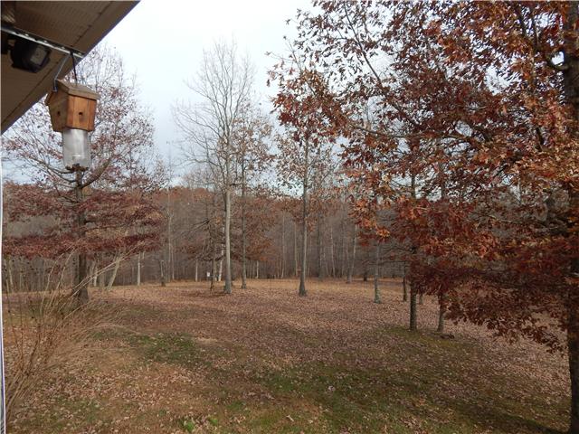 787 Overhead Bridge Road Hampshire, TN 38461 - Photo 13 of 17 View of Backyard