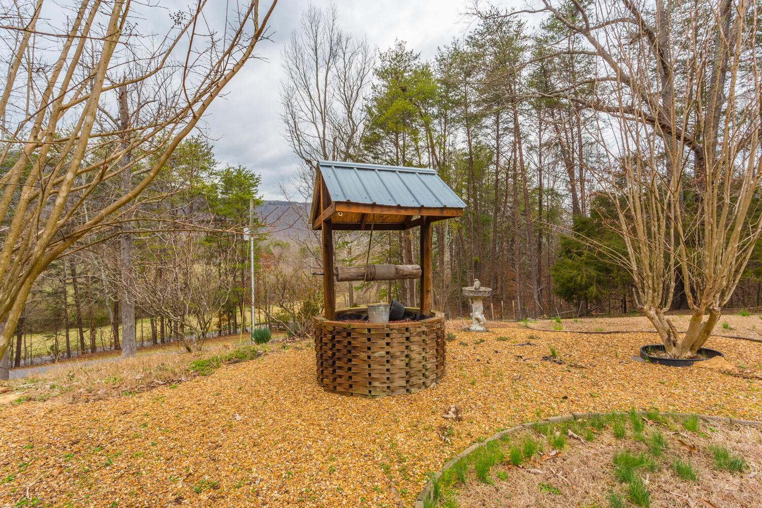 2770 Shinbone Valley Road Menlo, GA 30731 - Photo 65 of 88 2770 Shinbone Valley HD-15