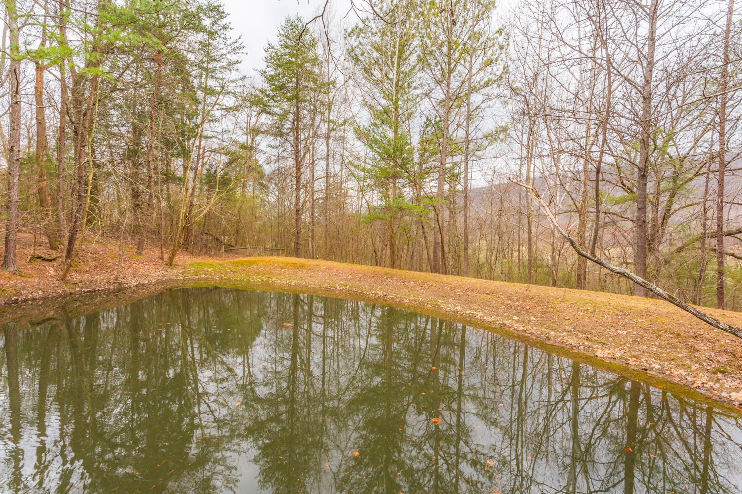 2770 Shinbone Valley Road Menlo, GA 30731 - Photo 71 of 88 Stocked pond