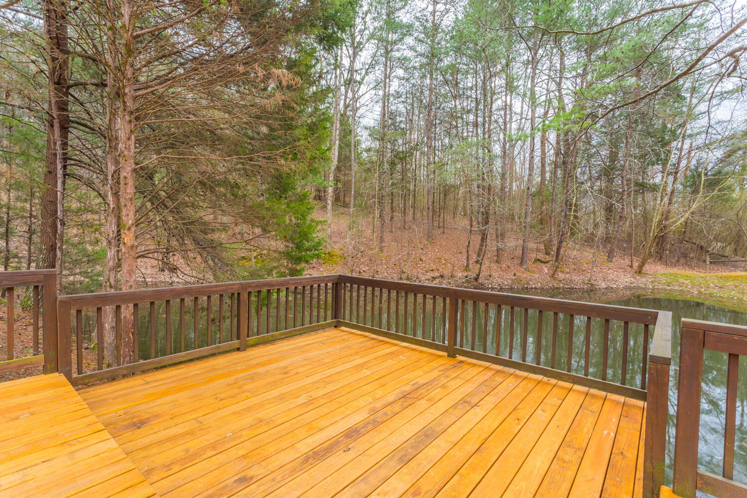 2770 Shinbone Valley Road Menlo, GA 30731 - Photo 72 of 88 2770 Shinbone Valley HD-8