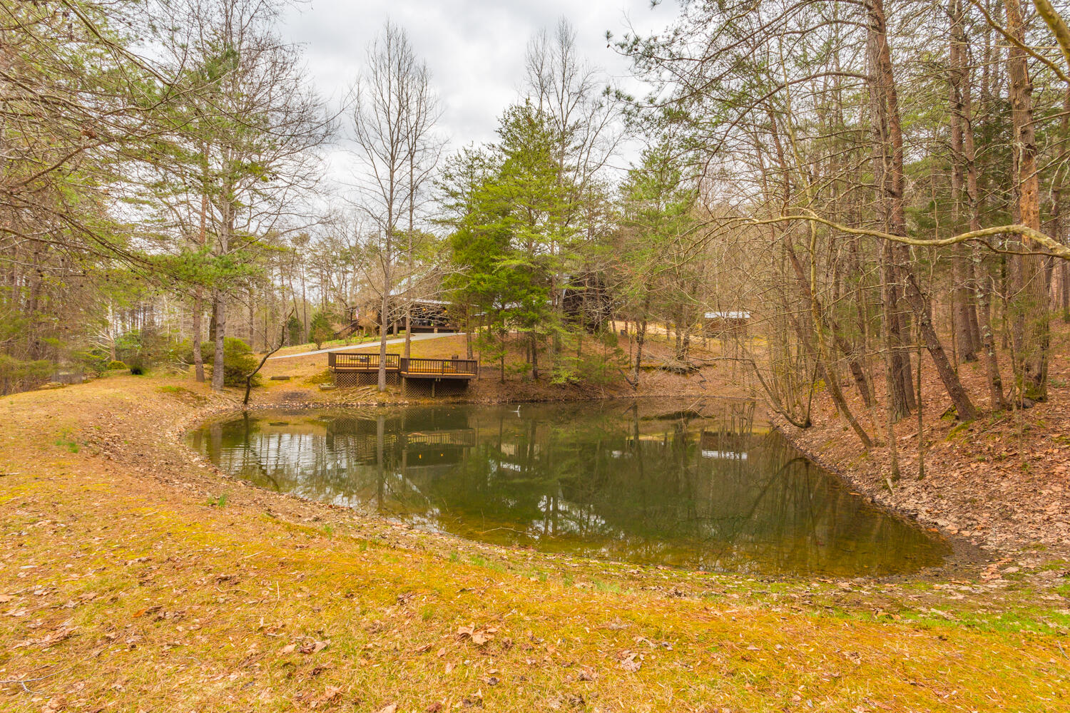 2770 Shinbone Valley Road Menlo, GA 30731 - Photo 73 of 88 2770 Shinbone Valley HD-7