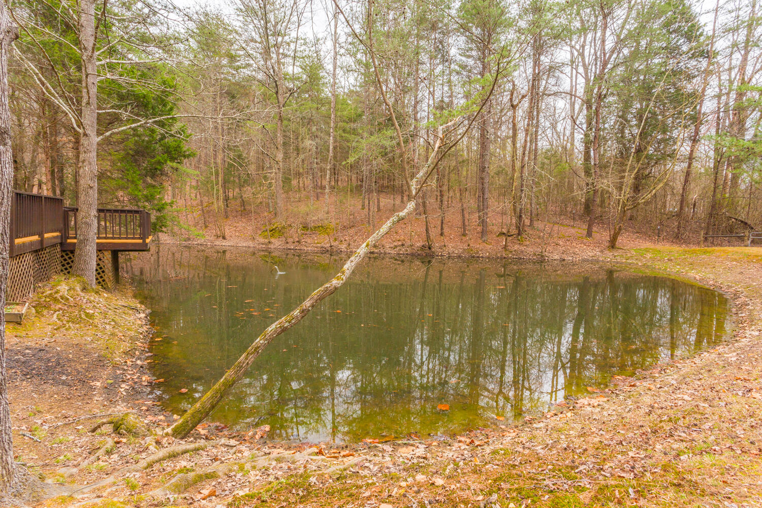 2770 Shinbone Valley Road Menlo, GA 30731 - Photo 74 of 88 2770 Shinbone Valley HD-6