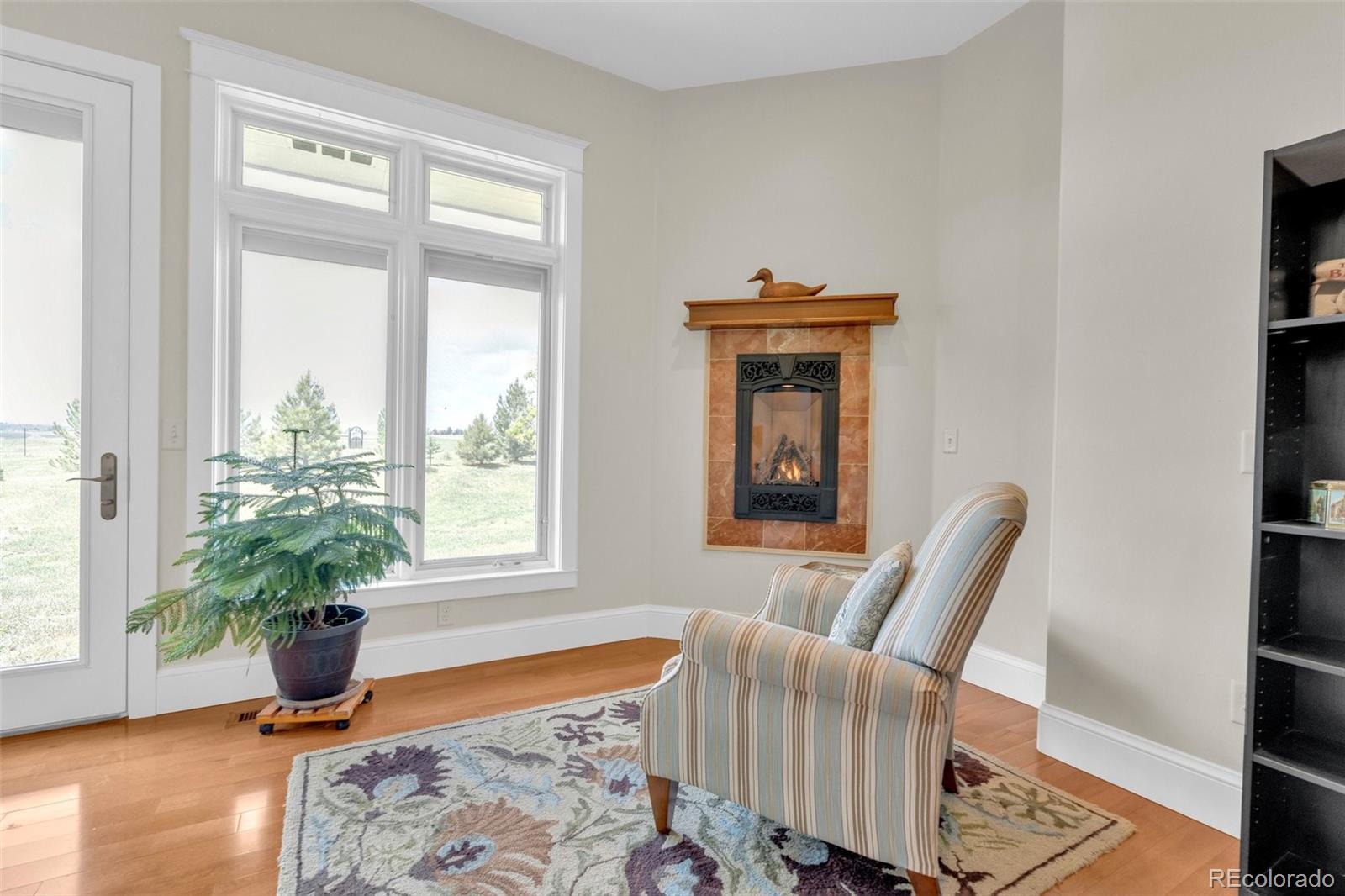 3830 Willownook Ranch Trail Elizabeth, CO 80107 - Photo 17 of 47