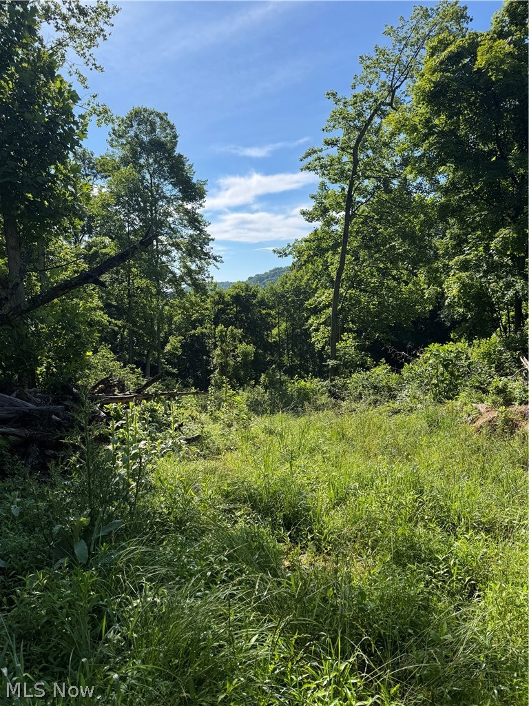 Stone Quarry Road Danville, OH 43014 - Photo 30 of 50