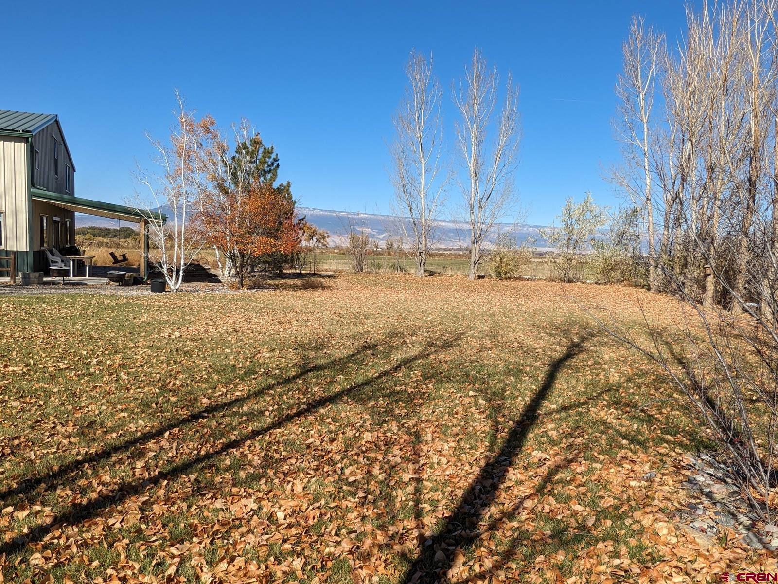1244 Ash Mesa Road Delta, CO 81416 - Photo 3 of 35 a view of a yard with snow on the road