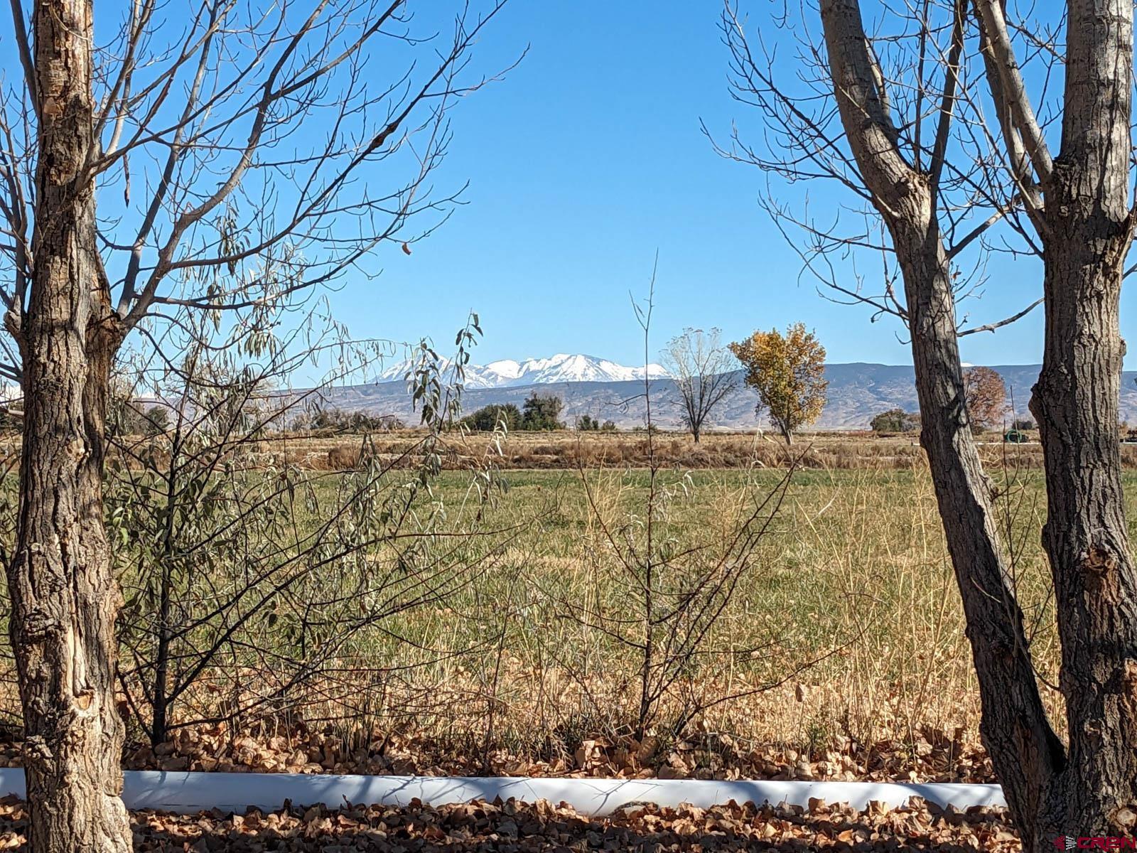 1244 Ash Mesa Road Delta, CO 81416 - Photo 31 of 35 a backyard of a house with lots of green space