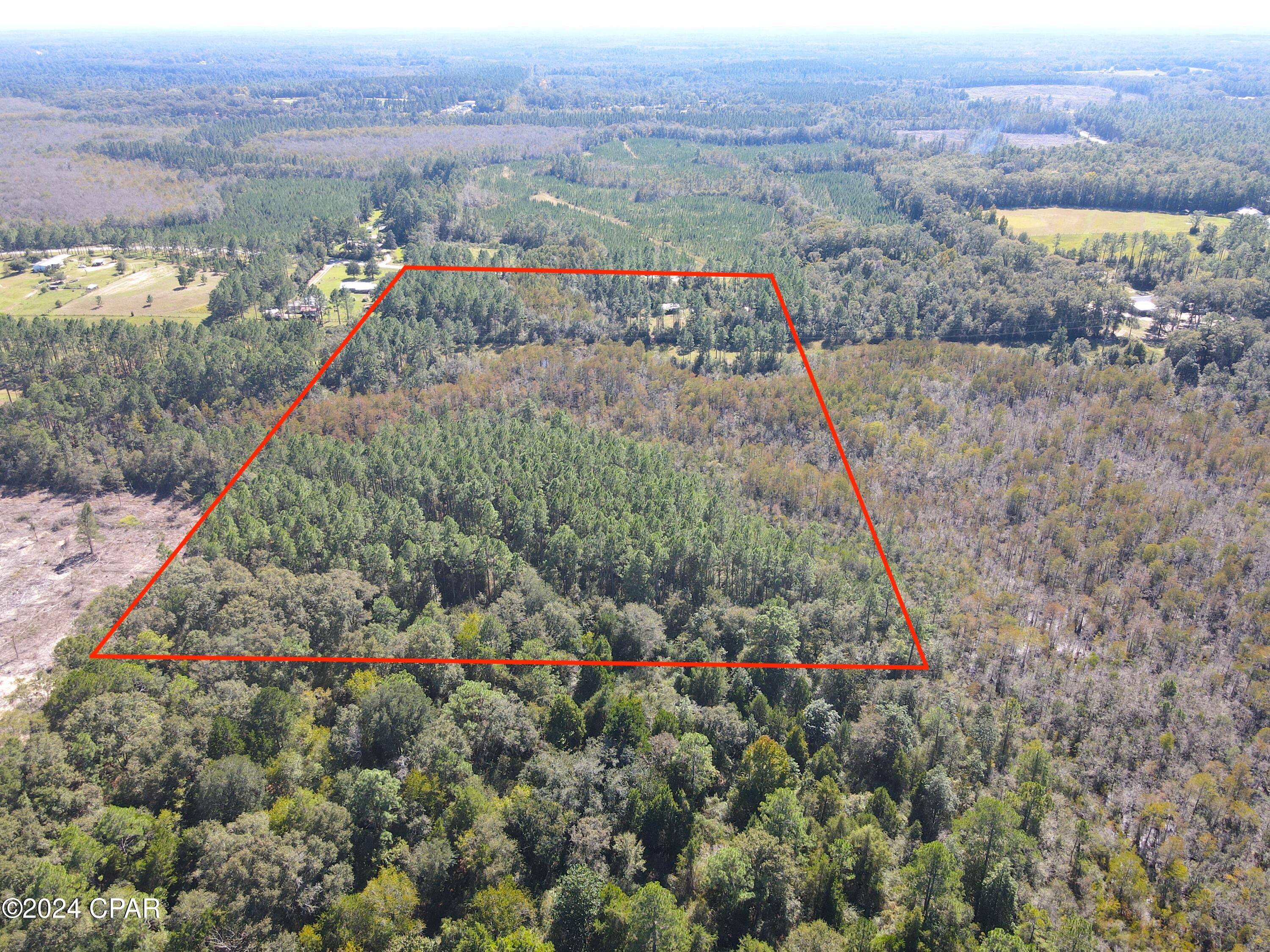 2270 Boswell Road Bonifay, FL 32425 - Photo 8 of 33 Gallery Image 8