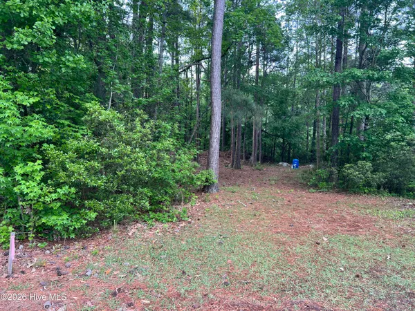 $99,000 | 110 Rustic Court, Hampstead, NC 28443