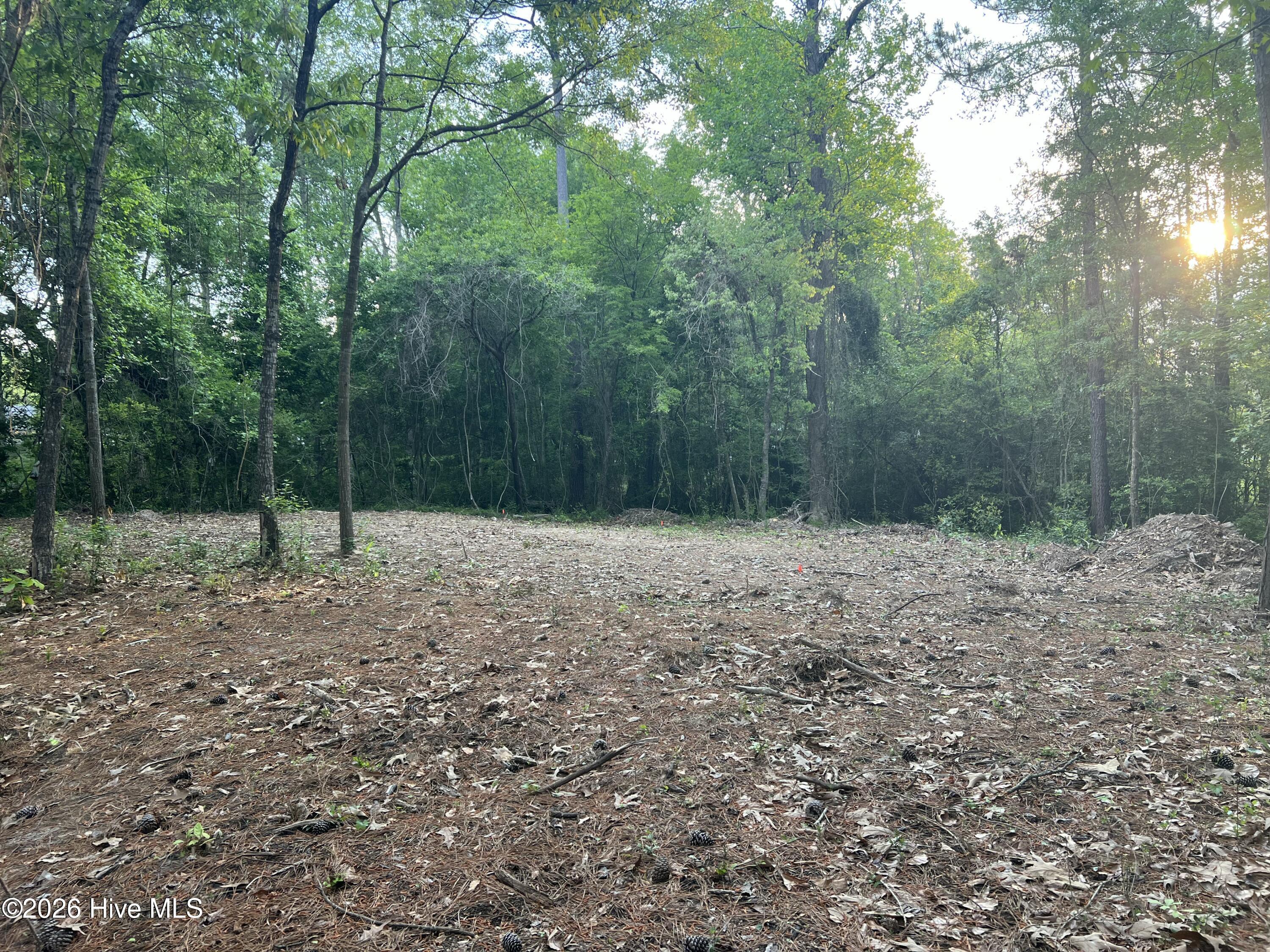 110 Rustic Court Hampstead, NC 28443 - Photo 11 of 12 IMG_7264