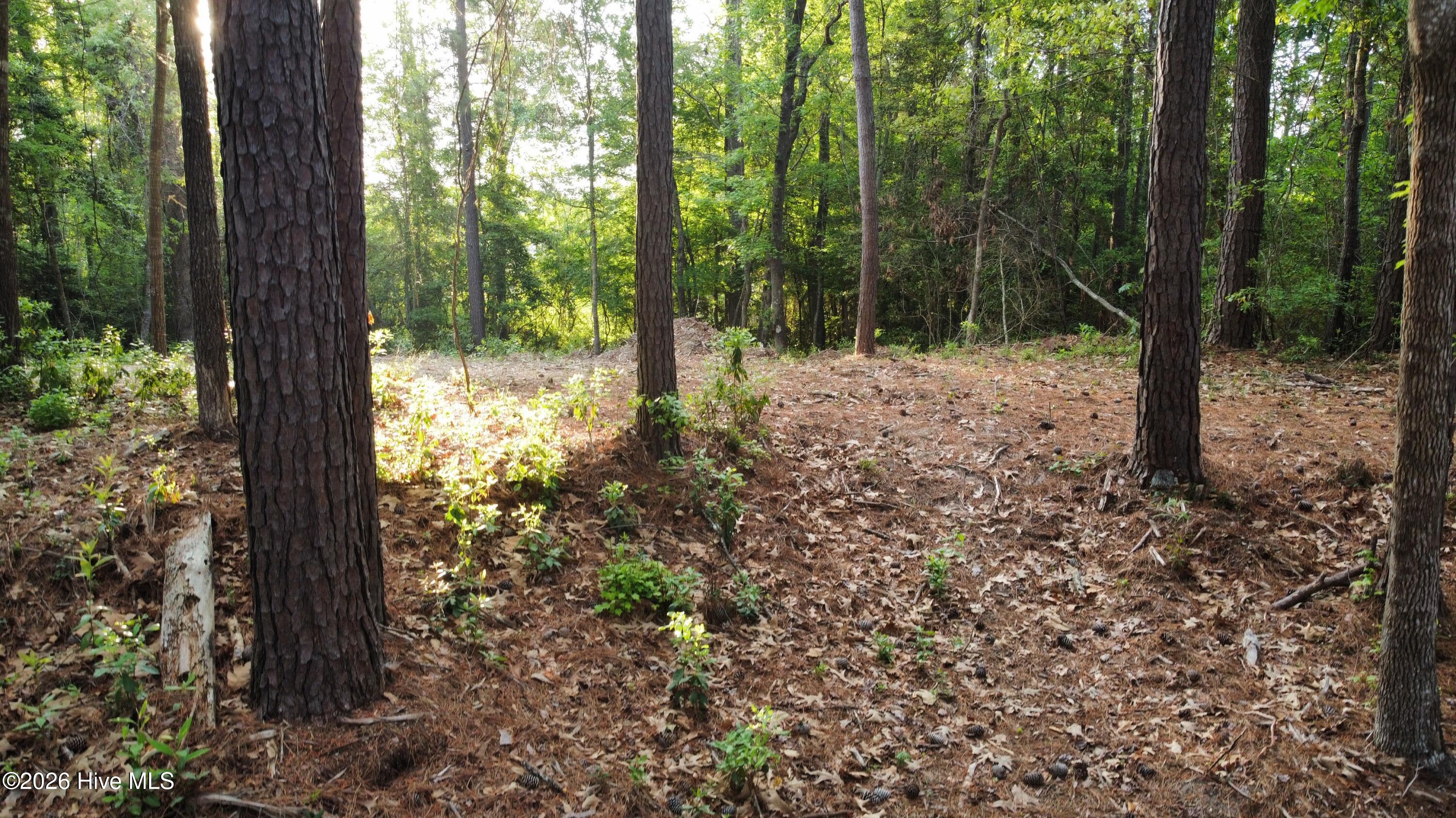 110 Rustic Court Hampstead, NC 28443 - Photo 3 of 12 dji_fly_20260418_074158_271_177651490730