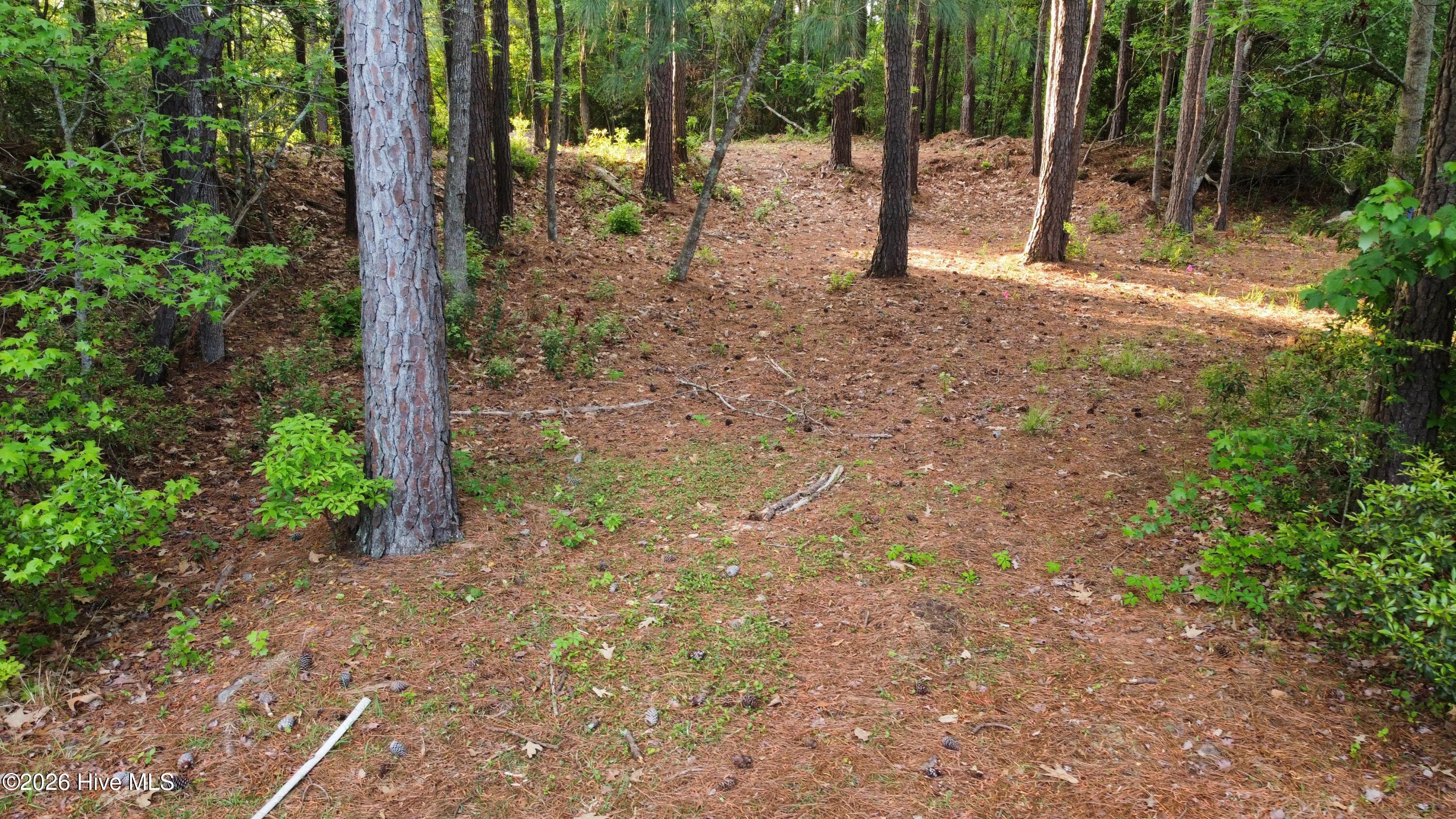 110 Rustic Court Hampstead, NC 28443 - Photo 4 of 12 dji_fly_20260418_074120_270_177651490173