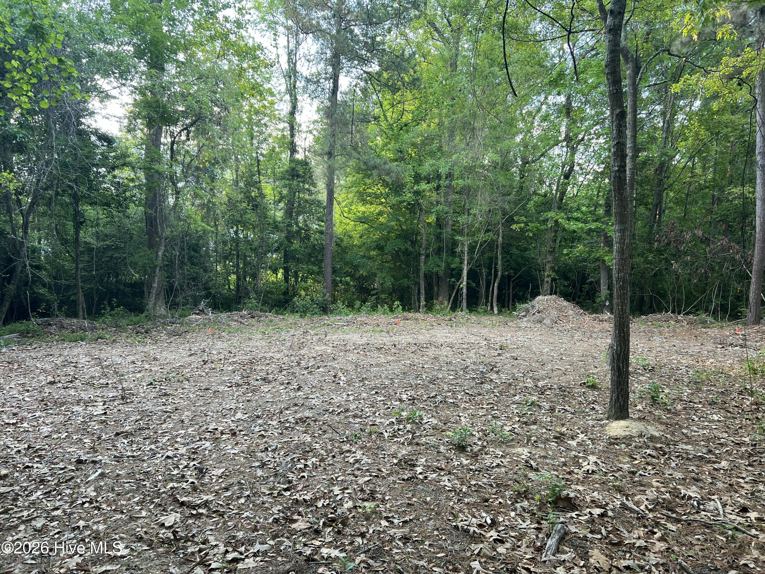 110 Rustic Court Hampstead, NC 28443 - Photo 6 of 12 IMG_7266