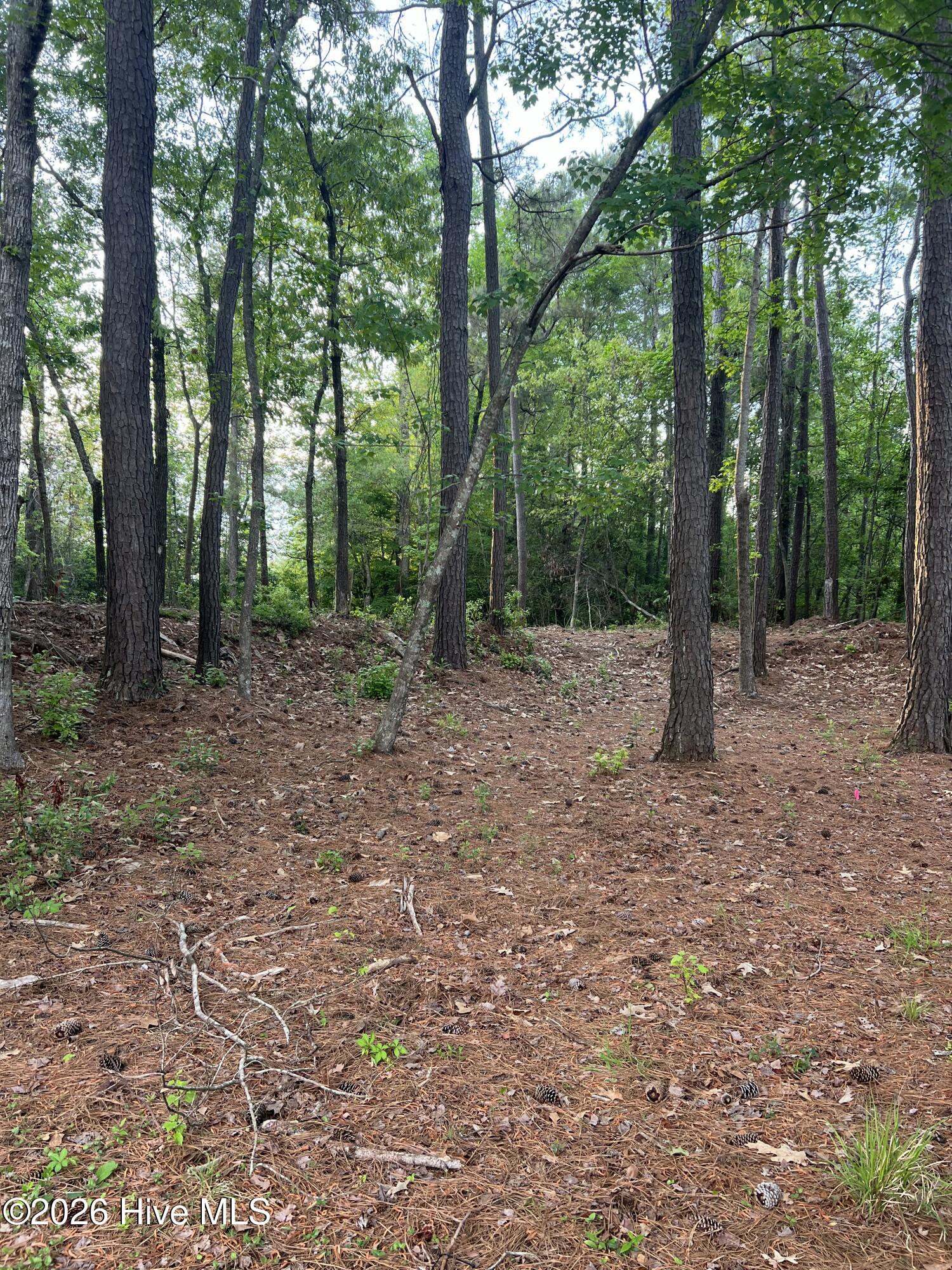 110 Rustic Court Hampstead, NC 28443 - Photo 7 of 12 IMG_7262