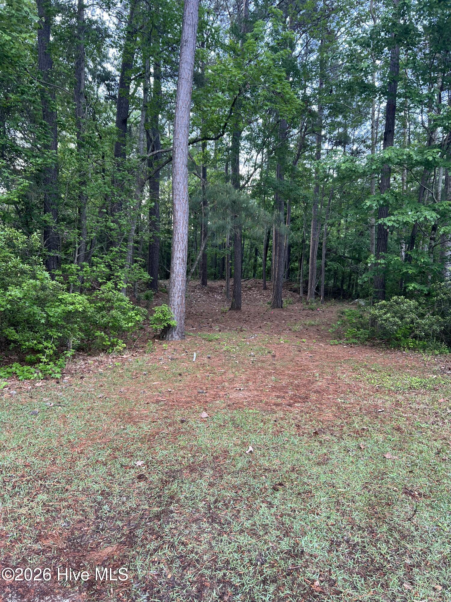 110 Rustic Court Hampstead, NC 28443 - Photo 8 of 12 IMG_7260