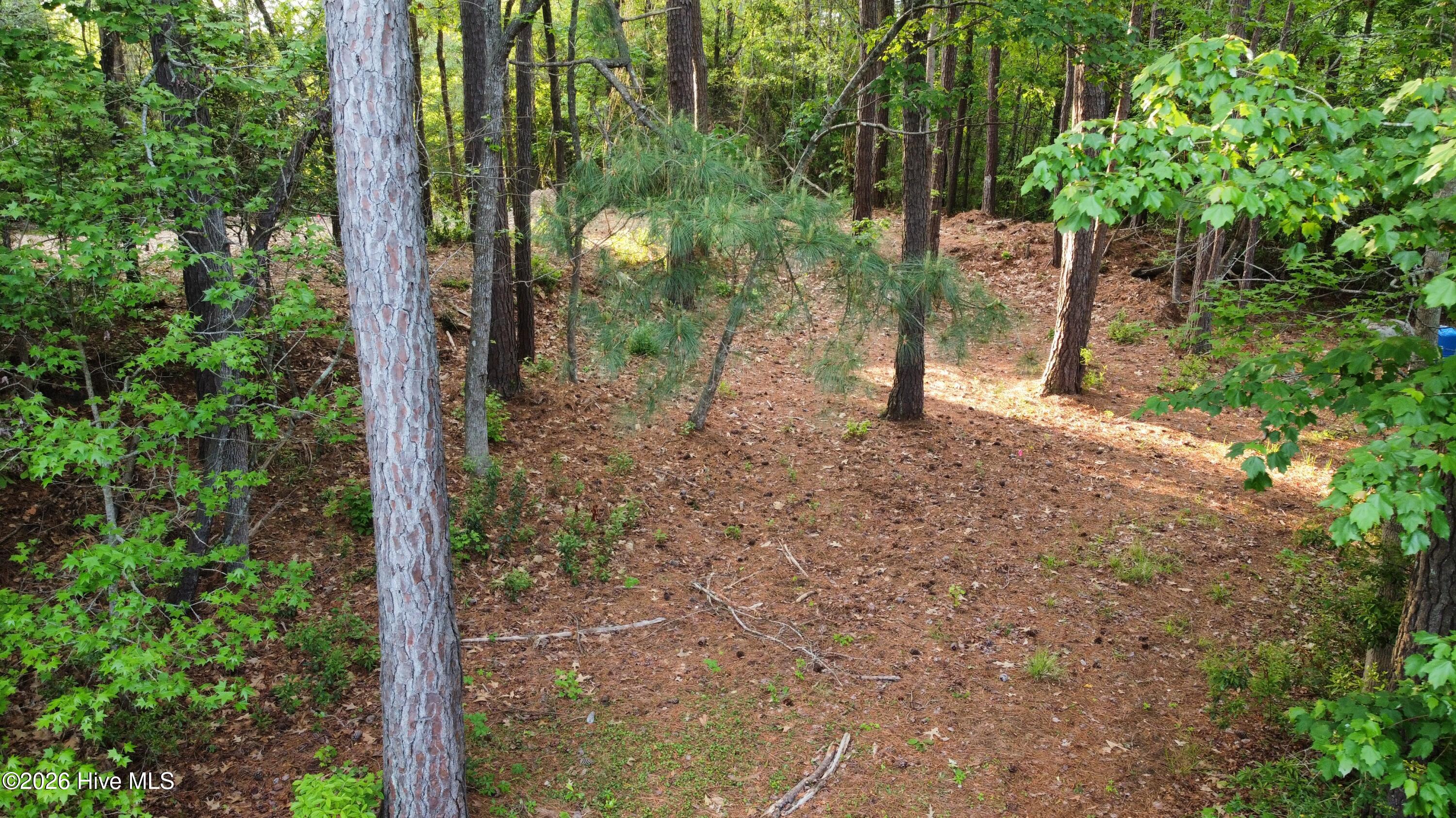 110 Rustic Court Hampstead, NC 28443 - Photo 9 of 12 dji_fly_20260418_074112_269_177651489678
