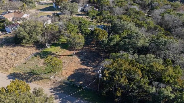 a view of a yard with plants and large trees