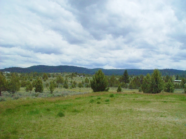 553850 Bassett Road Adin, CA 96006 - Photo 5 of 10 2