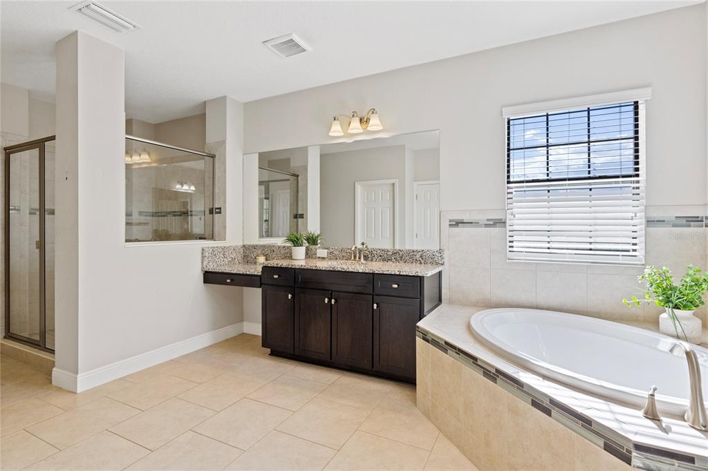 31976 Watoga Loop Wesley Chapel, FL 33543 - Photo 25 of 47 a bathroom with a granite countertop tub sink and mirror