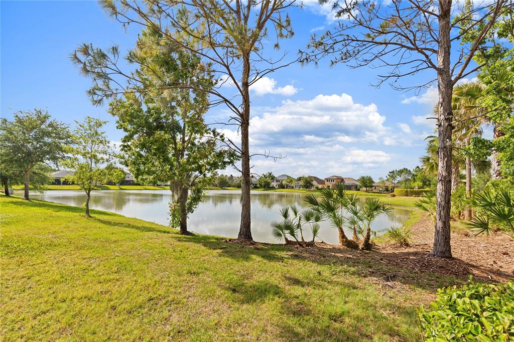 31976 Watoga Loop Wesley Chapel, FL 33543 - Photo 3 of 47 a view of a yard with an trees