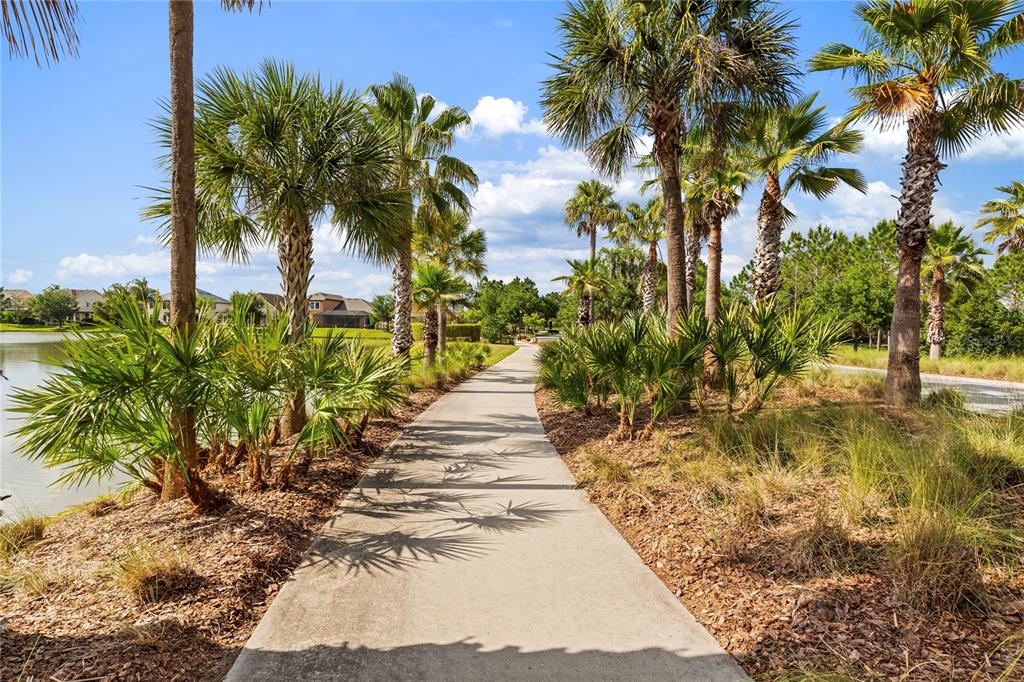 31976 Watoga Loop Wesley Chapel, FL 33543 - Photo 4 of 47 a view of a yard