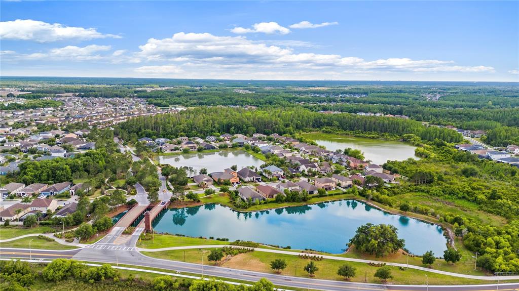 31976 Watoga Loop Wesley Chapel, FL 33543 - Photo 43 of 47 an aerial view of residential houses with outdoor space