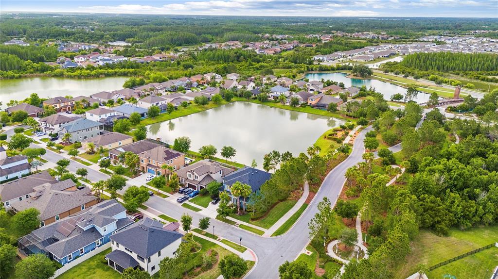 31976 Watoga Loop Wesley Chapel, FL 33543 - Photo 5 of 47 an aerial view of residential houses with outdoor space and river
