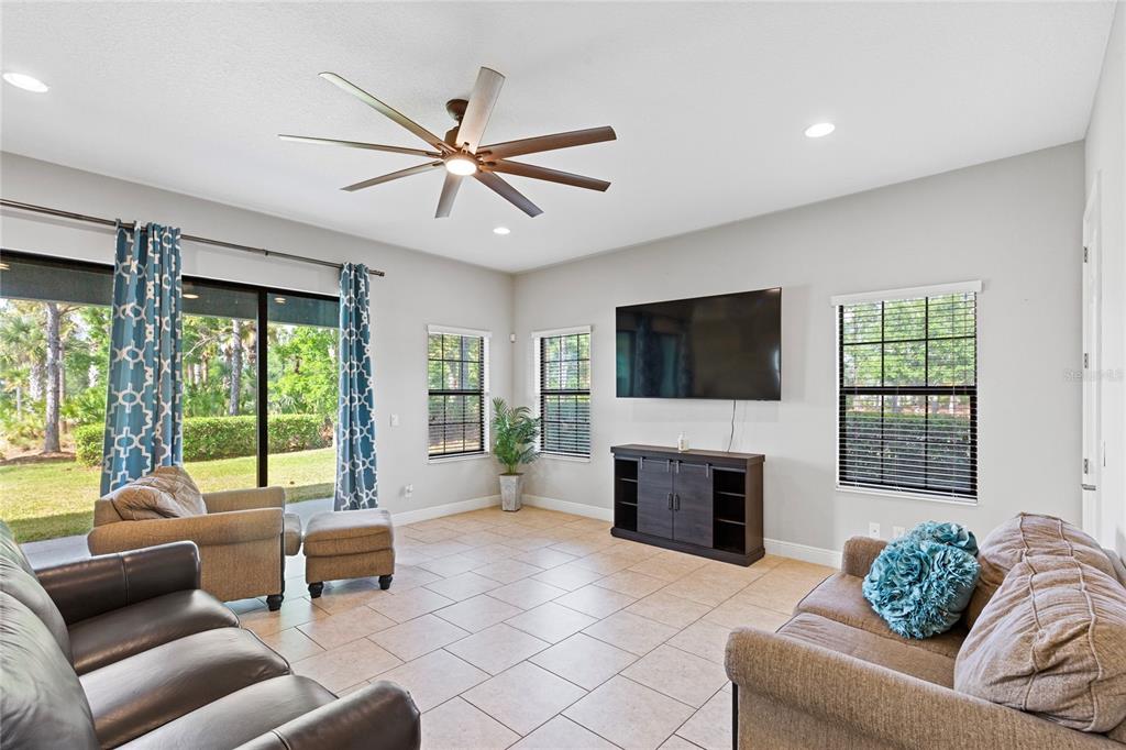 31976 Watoga Loop Wesley Chapel, FL 33543 - Photo 10 of 47 a living room with furniture a fireplace and a flat screen tv