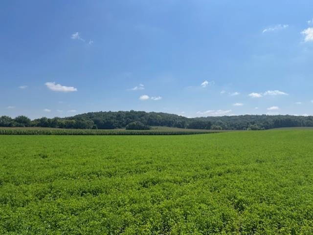 L9 Marchstone Cross Plains, WI 53528 - Photo 11 of 14