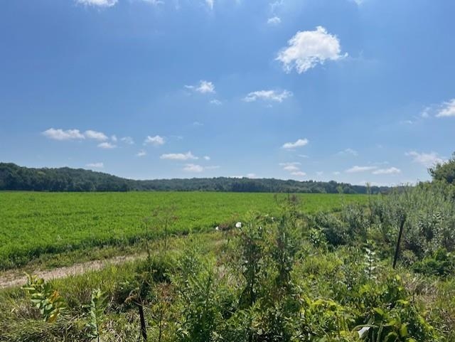 L9 Marchstone Cross Plains, WI 53528 - Photo 13 of 14