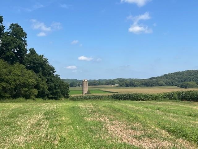 L9 Marchstone Cross Plains, WI 53528 - Photo 5 of 14