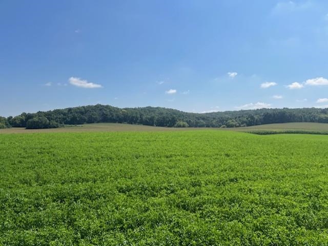 L9 Marchstone Cross Plains, WI 53528 - Photo 9 of 14