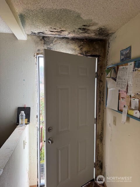 16221 75th Street East Sumner, WA 98390 - Photo 9 of 13