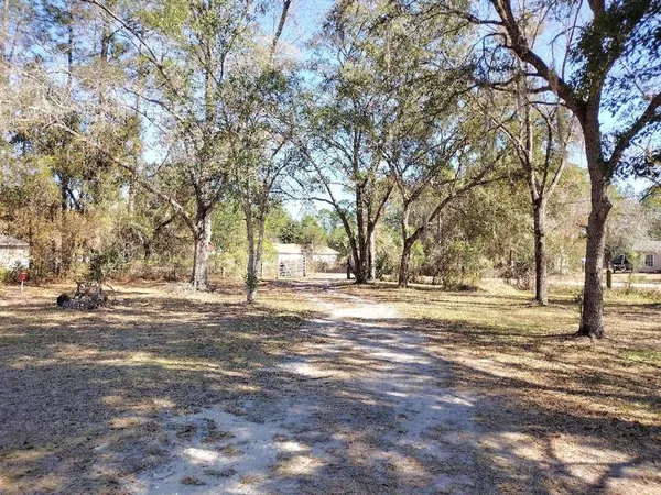 a view of a yard with a tree