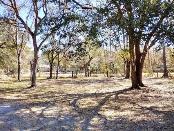 a view of a yard with trees