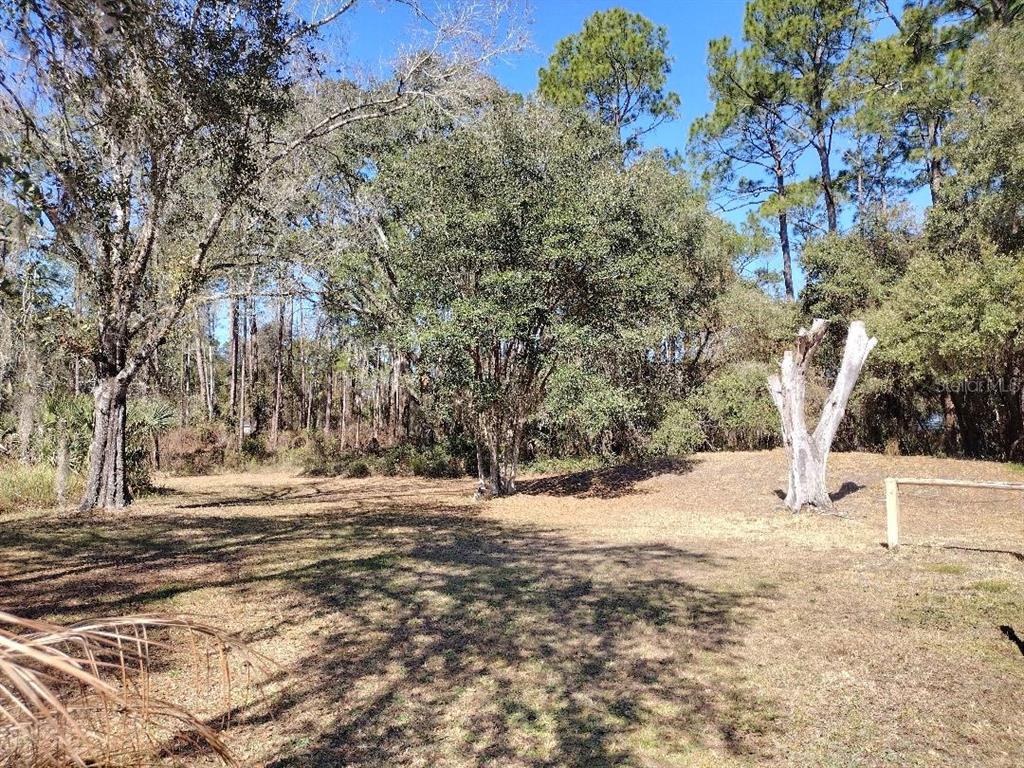 1916 Laurel Avenue Bunnell, FL 32110 - Photo 30 of 31 a view of a yard with a tree