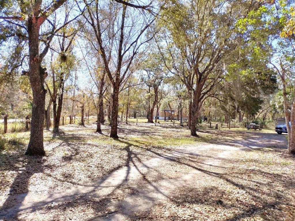 1916 Laurel Avenue Bunnell, FL 32110 - Photo 31 of 31 a view of a yard with trees