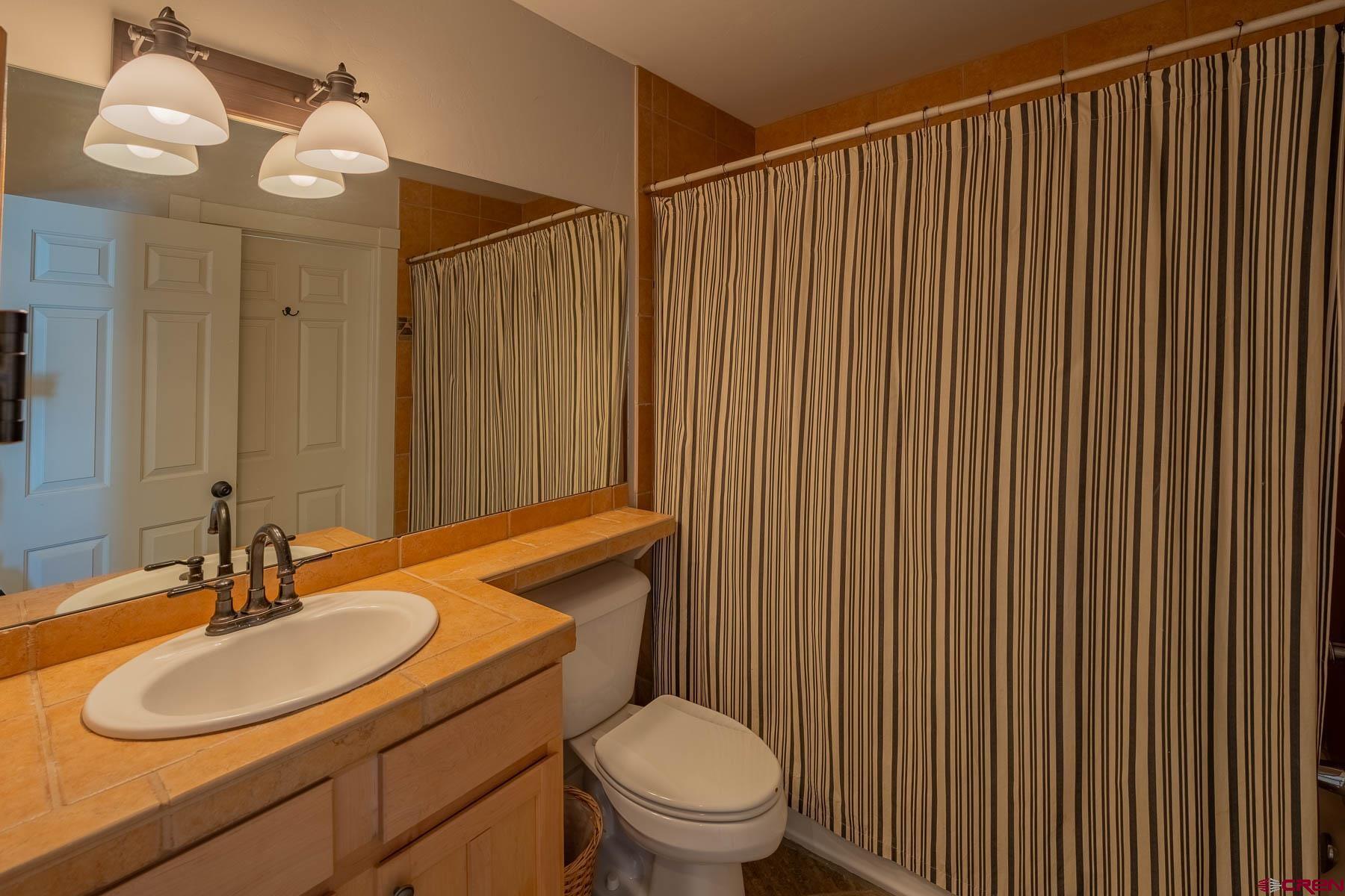 1 7th Street, Unit B Crested Butte, CO 81224 - Photo 27 of 35 a bathroom with a granite countertop sink vanity mirror and toilet