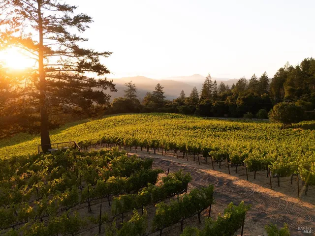 $5,000,000 | 316 Wall Road, Napa, CA 94558